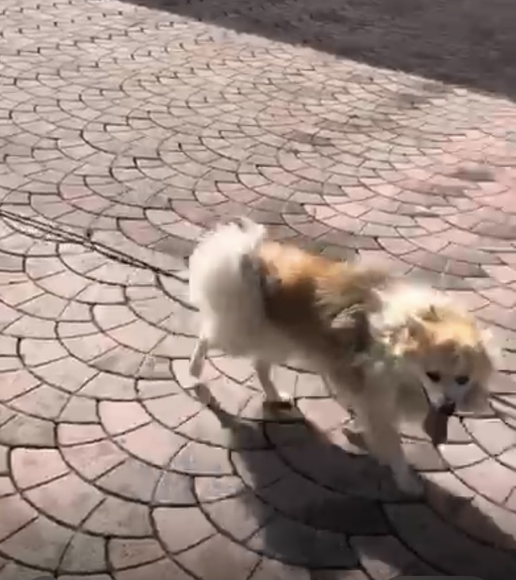 ...